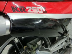Kawasaki KR250S Restoration - image 13