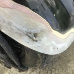 1934 VDP Derby Bentley Restoration - image 8